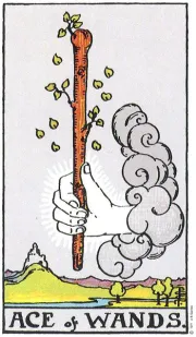 지팡이의 에이스(Ace of Wands) tarot card illustration